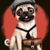 broadwaypugpaige
