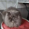 pascalpascal98