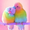 user1360553084314