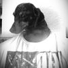 audriannaa.10