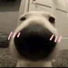 comnuocgichuanguoidep70