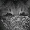 vibes_with_saymon2