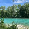 wilder.engel8