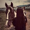 madu_kzz1