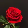 dayka_gyan5