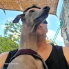 style_fpv