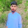 shanbacha12