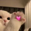 hngdinphng