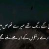 msharaiz8