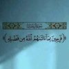 user1228741843168