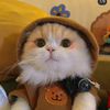 sleepycatorange