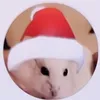 hamsterhouse.ruslan