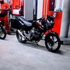 tigerjawa2