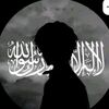 jihadvai545