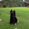 syamieraireen