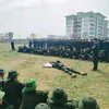hoangchan8386
