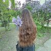 pelagea_fw
