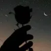 safa_ben_69