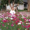 user2403229200701