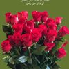 user656502017