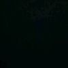 youssef53571