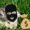 thieving_hedgehog