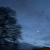 jcng259