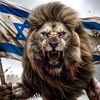 shlomi2b