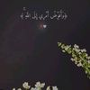 sara_hossam32