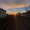 nkfff_68
