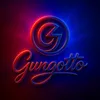 gungottoplayer
