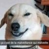 cestmoikeh