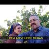 mehmetmurad1