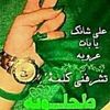 user7445715331906