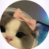 takiya_38