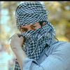 nooralishah145