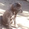 miguel.lpez3063
