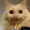 mihlog07