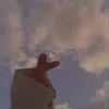 mu_sicas.k