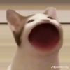 pham_linh_23