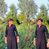 behranibaloch4