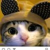 s..salma.a