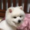 oi.trai.c.n