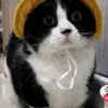 nha_uyen.ngh_2612