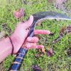 fiqqfarm6