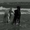 mhau6_