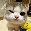 behappy_y_a