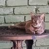 mrgrumpy43