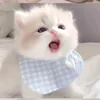 iuy_kawai