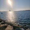 us_806651
